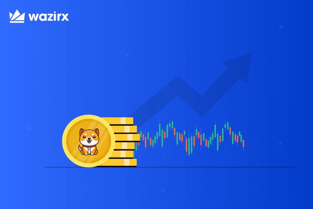 Is Baby Dogecoin Cryptocurrency Worth The Hype?