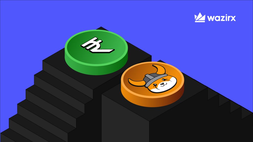 FLOKI/INR trading on WazirX