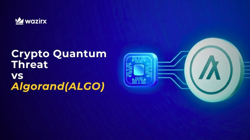 How Google Just Made ALGO the Quantum-Resistance Trade of 2026